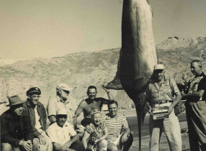 May 1956, Ernest Hemingway and a 730lb Marlin